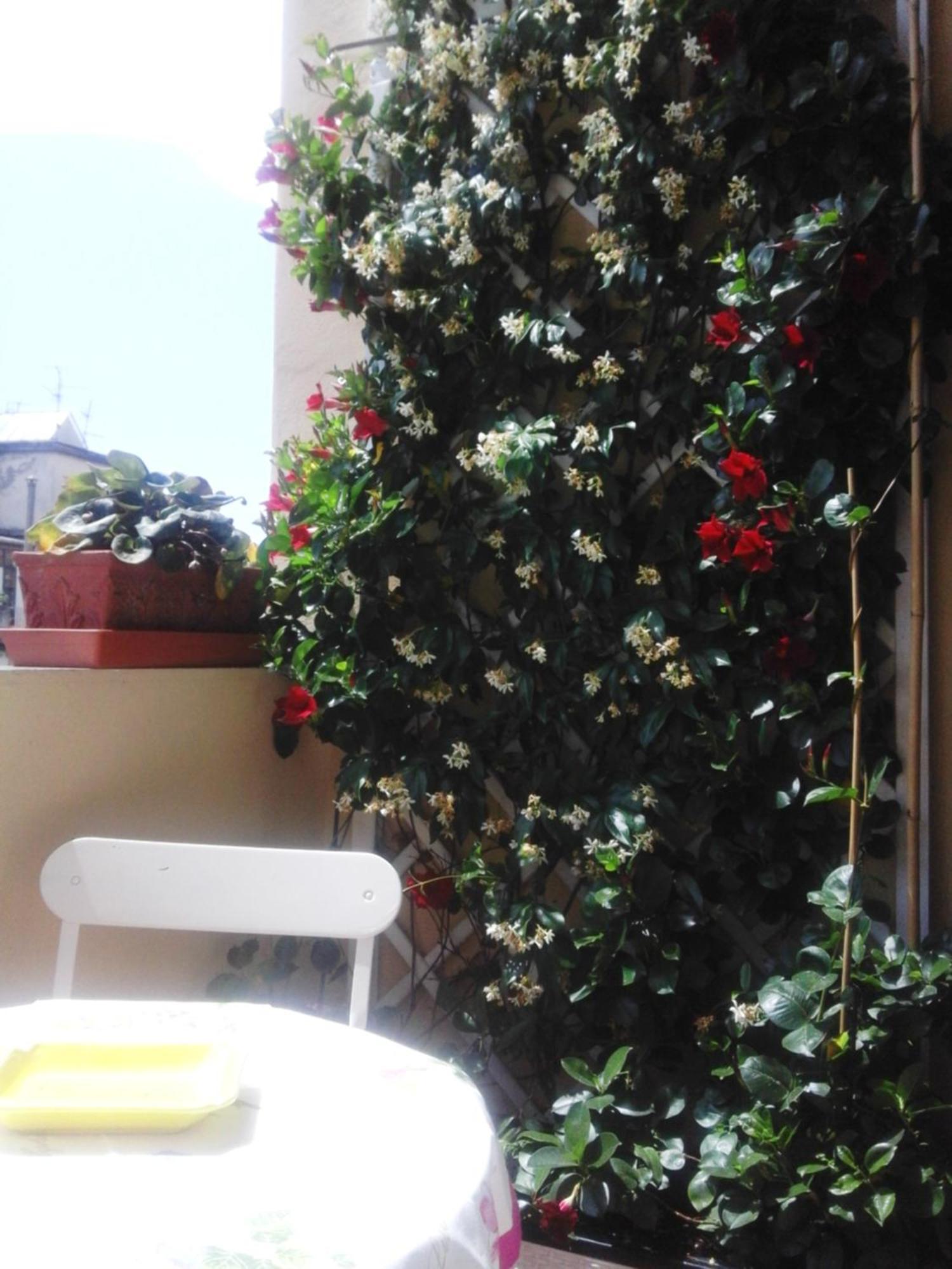 San Marco Center Appartamento *